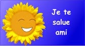 salut ami