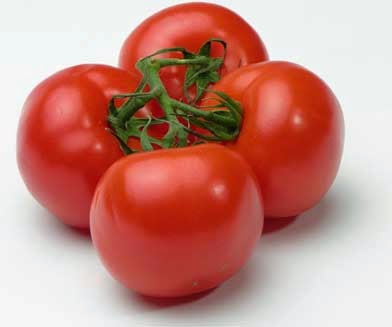 Tomat itu buah atau sayur