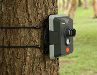 Bird Watch Camera