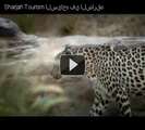 United Arab Emirates part 2 - Sharjah Tourism