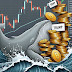 TRUMP Token Whales Cash Out Millions—Is Your Investment at Risk?