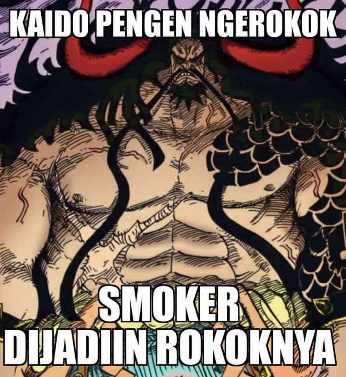 Meme Lucu Dan Dp Bbm One Piece