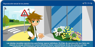 http://repositorio.educa.jccm.es/portal/odes/conocimiento_del_medio/las_plantas/contenido/cm07_oa04_es/index.html