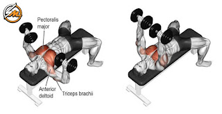Chest and Triceps Workout For Strength and Mass