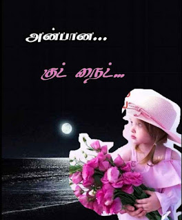 Good Night Whatsapp Status in Tamil, Dp, Images, Quotes, SMS, Wishes Download.