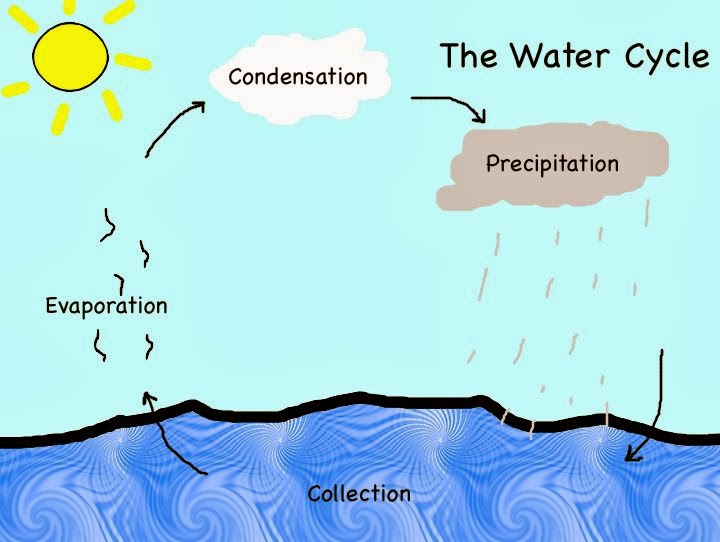 http://lessons.e-learningforkids.org/efk/Courses/EN/The_Water_Cycle/launch.html