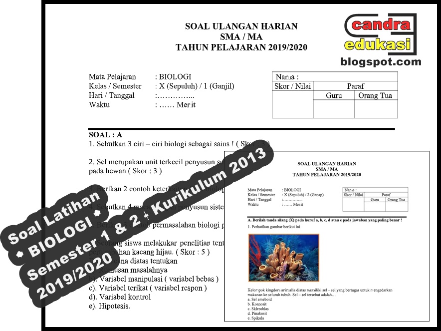 Soal BIOLOGI Kelas 10 Semester 1 dan 2 K13 2019/2020 | Administrasi