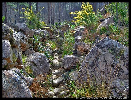 clip_image010