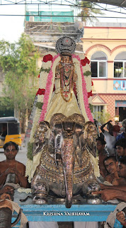 Yaanai Vahanam,Gopura Dharisanam,Vaigasi, Purappadu,Video, Divya Prabhandam,Sri Parthasarathy Perumal, Triplicane,Thiruvallikeni,Utsavam,Gajendra Varadhar,Brahmotsavam