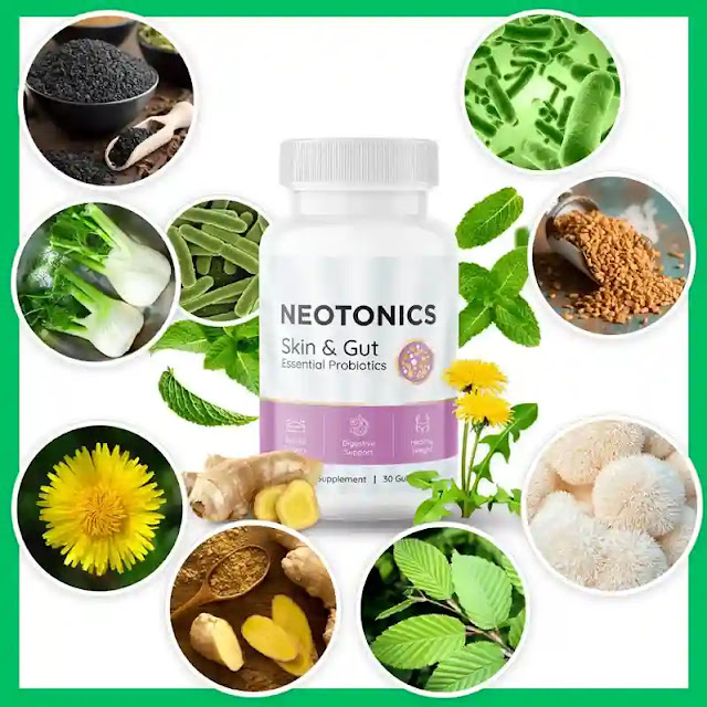 Holistic Approach to Skin and Gut Health