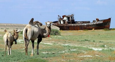 Aral Sea+ 09 788332 Gambar Laut Ke 4 Terbesar Dunia Yang Telah Hilang Tahun 2008