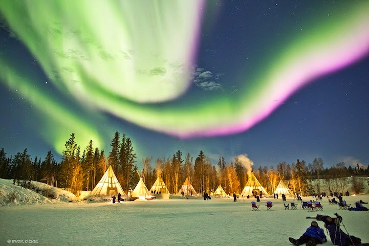 Dazzling Displays of Aurora Borealis Dance Across the Night Sky