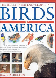 The Illustrated Encyclopedia of Birds of America: The Ultimate Guide to the Birds of the U.S.A., Canada, Central and South America