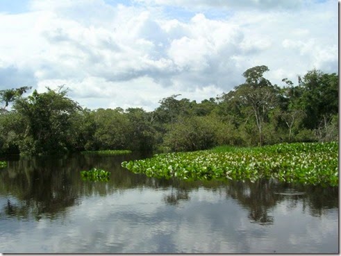 Atractivos de Pando