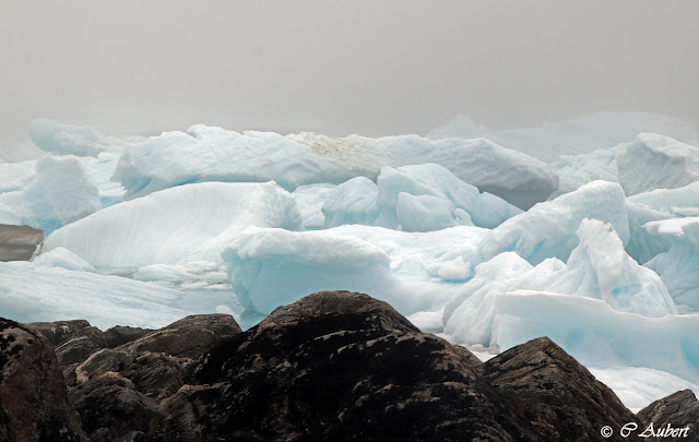 Savissivik, cimetière d'icebergs, météorite,Groenland