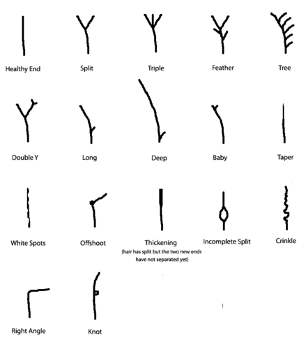 Split+Ends+Chart