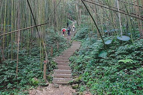 photo_069
