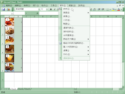 Excel 選擇排序範圍