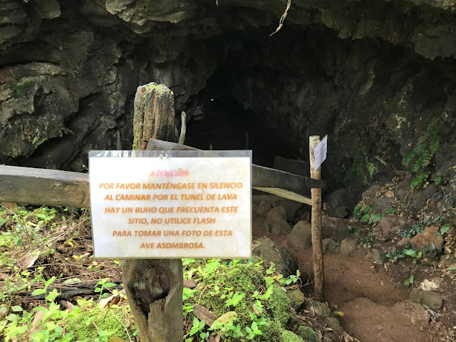 Tubo de lava, reserva de tortugas en Isla Santa Cruz, Islas Galápagos