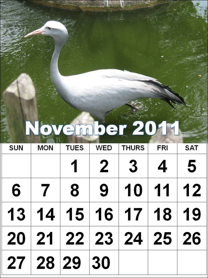 november calendar pictures. orjan November calendar,