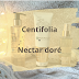 Centifolia - Nectar doré