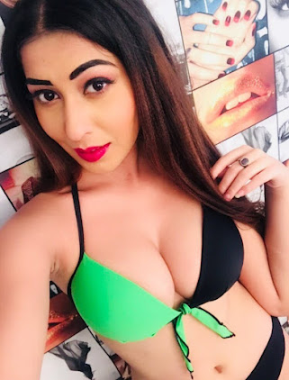 Amritsar escort