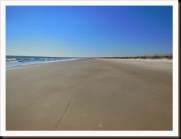 DSCN3836