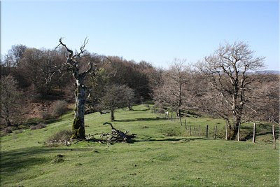 Verde pradera cerca del puerto