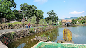 奈良公園 猿沢池