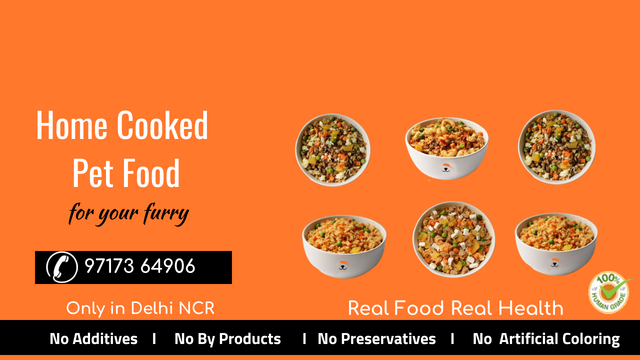 home cooked food for pets in Delhi