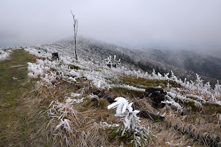 Góry Lewockie, Magura Spiska, Pieniny 08-10.05.2023