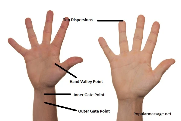Titik Akupresur Tangan untuk Menyembuhkan Berbagai Penyakit