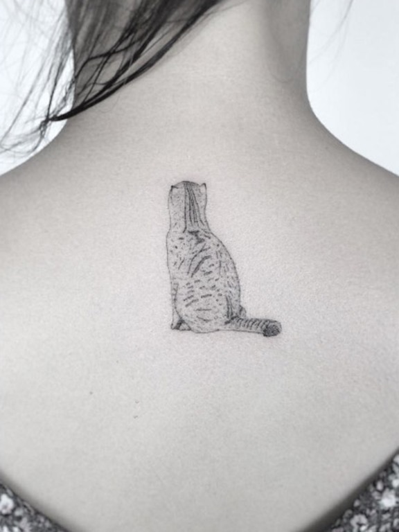 Este gatinho Este gatinho