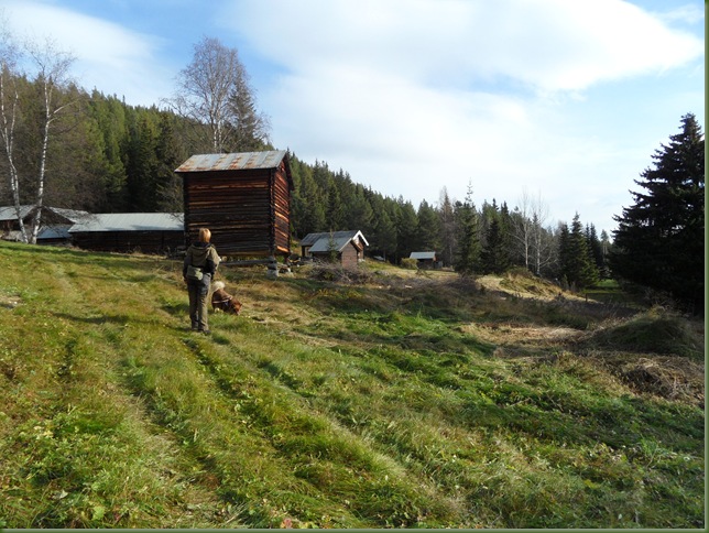 Kastet okt2011 013
