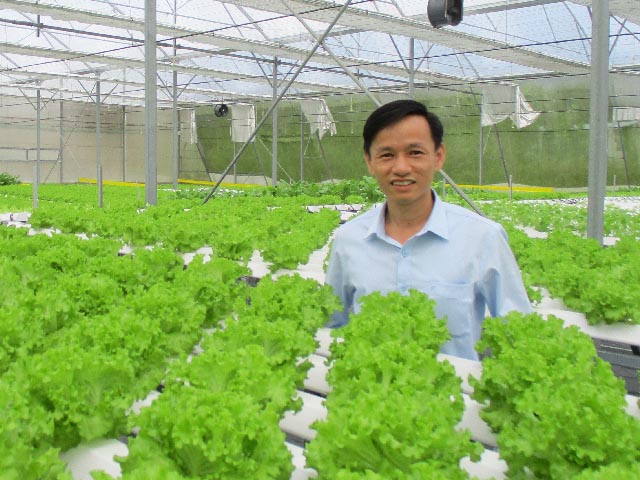 Đà Nẵng: “Đã mắt” vườn rau thủy canh xanh mướt trị giá bạc tỷ của kỹ sư cầu đường