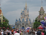 Our mega road trip to Disney World left me with a wicked sunburn, . (magic kingdom first day )