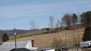 Spring Creek Farm Tennessee, WWOOF USA