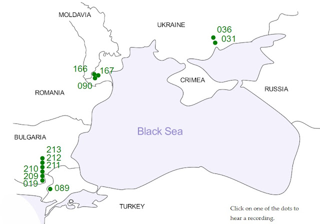 Discover what kind of Albanian dialect is spoken in Bulgaria, Ukraine, Moldova