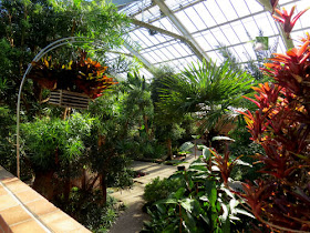 Matthaei Botanical Garden conservatory