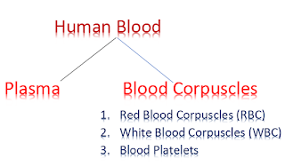 human-blood