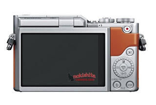 Panasonic Lumix GF9, вид сзади