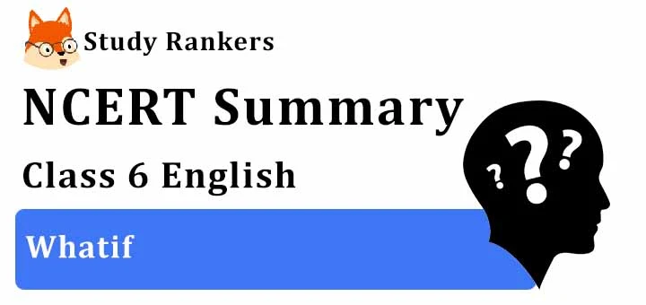 Whatif Class 6 English Summary