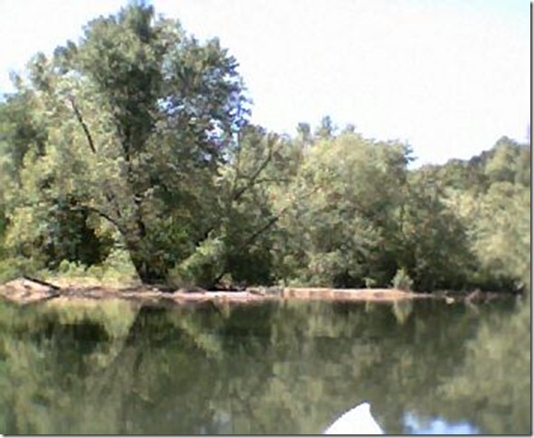 05-03-10 Turkey Creek RV Park (19)