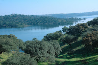 PASSEIO DE JORNALISTAS - Vista de Alqueva na Amieira