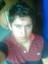 Mi foto