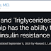 Carboidratos e triglicerídeos: seu relacionamento tem a capacidade de prever a resistência à insulina.