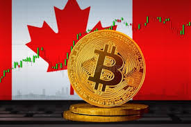 Bitcoin Wallet provider destroys the Canadian Court with their response to banning Bitcoin addresses