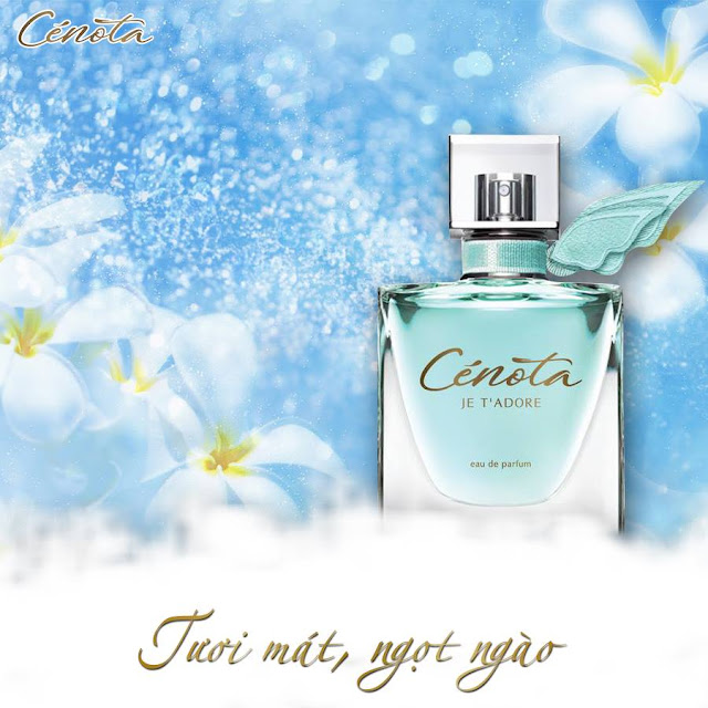 Review nước hoa Cenota của Pháp mùi nào thơm nhất?