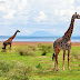 LAKE MANYARA
