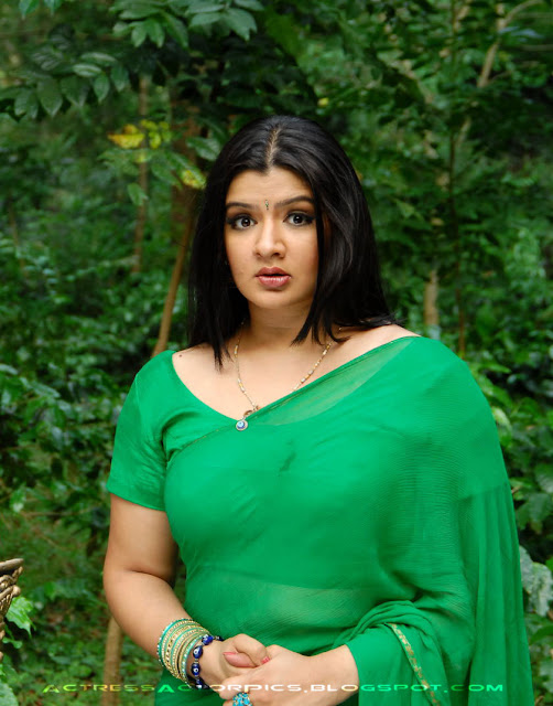 Aarthi Agarwal Green Saree Photos